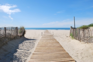 Staying the Course A picture of a board walk onto a sandy beach with blue water and sky ahead, and green wild grass with wooden fence along the side.