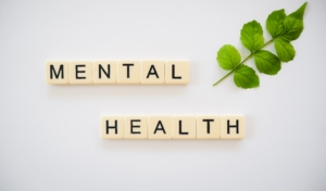 Helping Floridians grow through group therapy