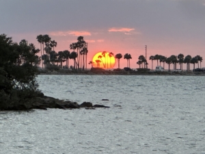 Big round orange colored sun setting in front of pink clouds with palm tree silhouettes and water in the foreground.